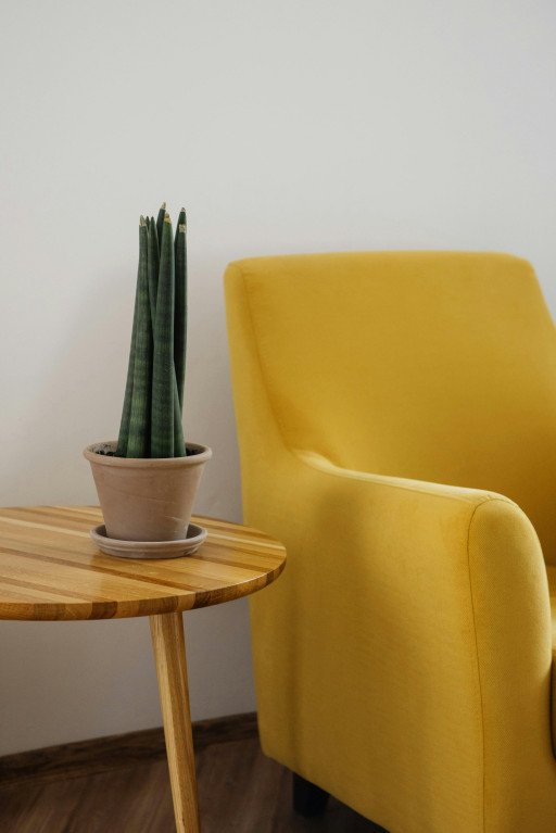 Versatile Furniture for Modern Living