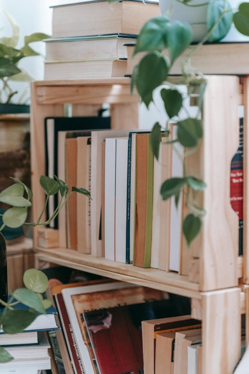 The Ultimate Guide to Designing and Installing a Sliding Bookcase for Your Home